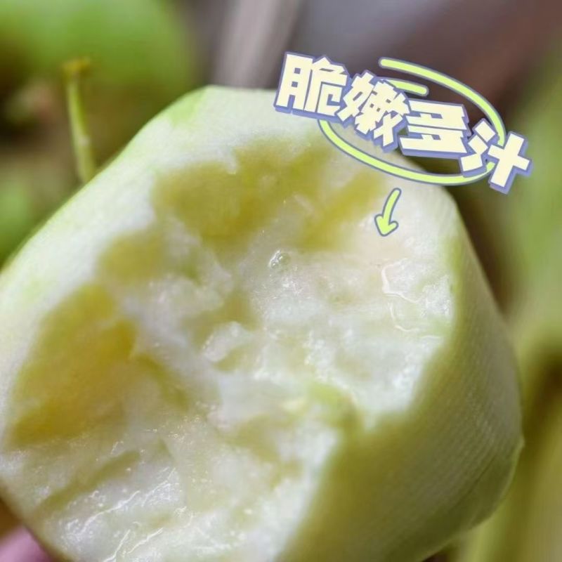 小金金冠苹果