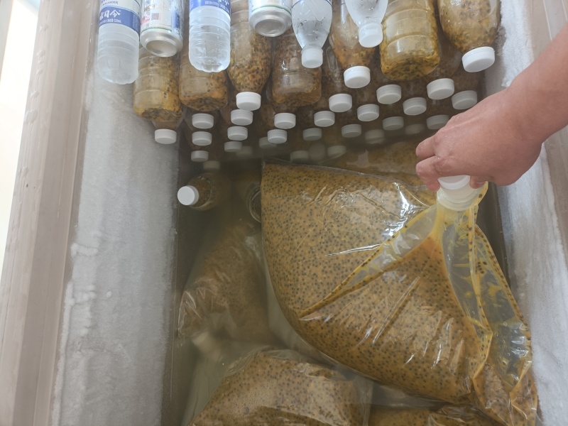 广西钦蜜9号百香果挖浆果鲜果酱（纯果酱***）