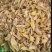 野生百合选货33一斤60斤起批包邮