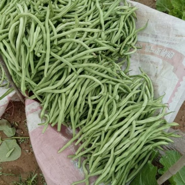 豆角