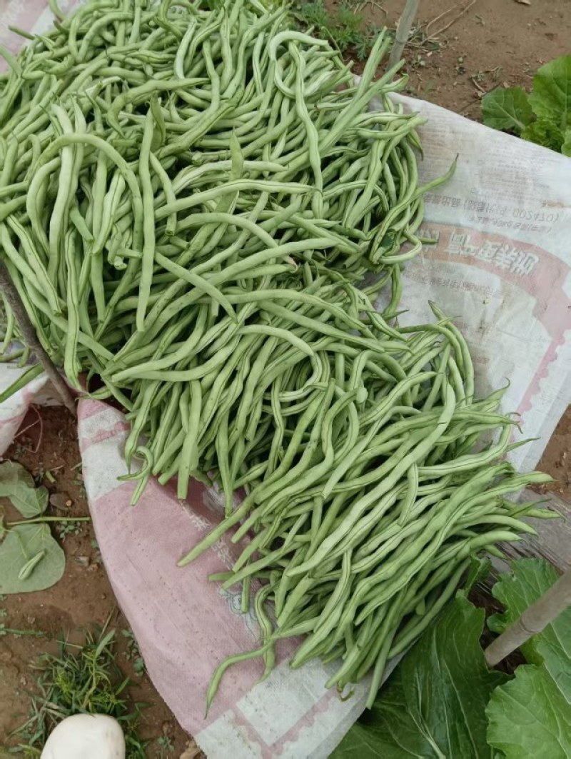 豆角