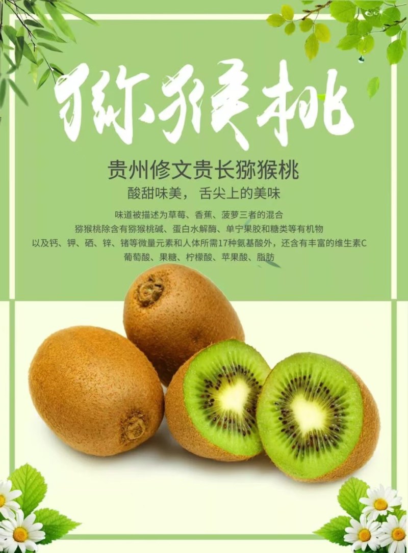 正宗修文猕猴桃，欢迎订购