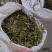 薄荷头