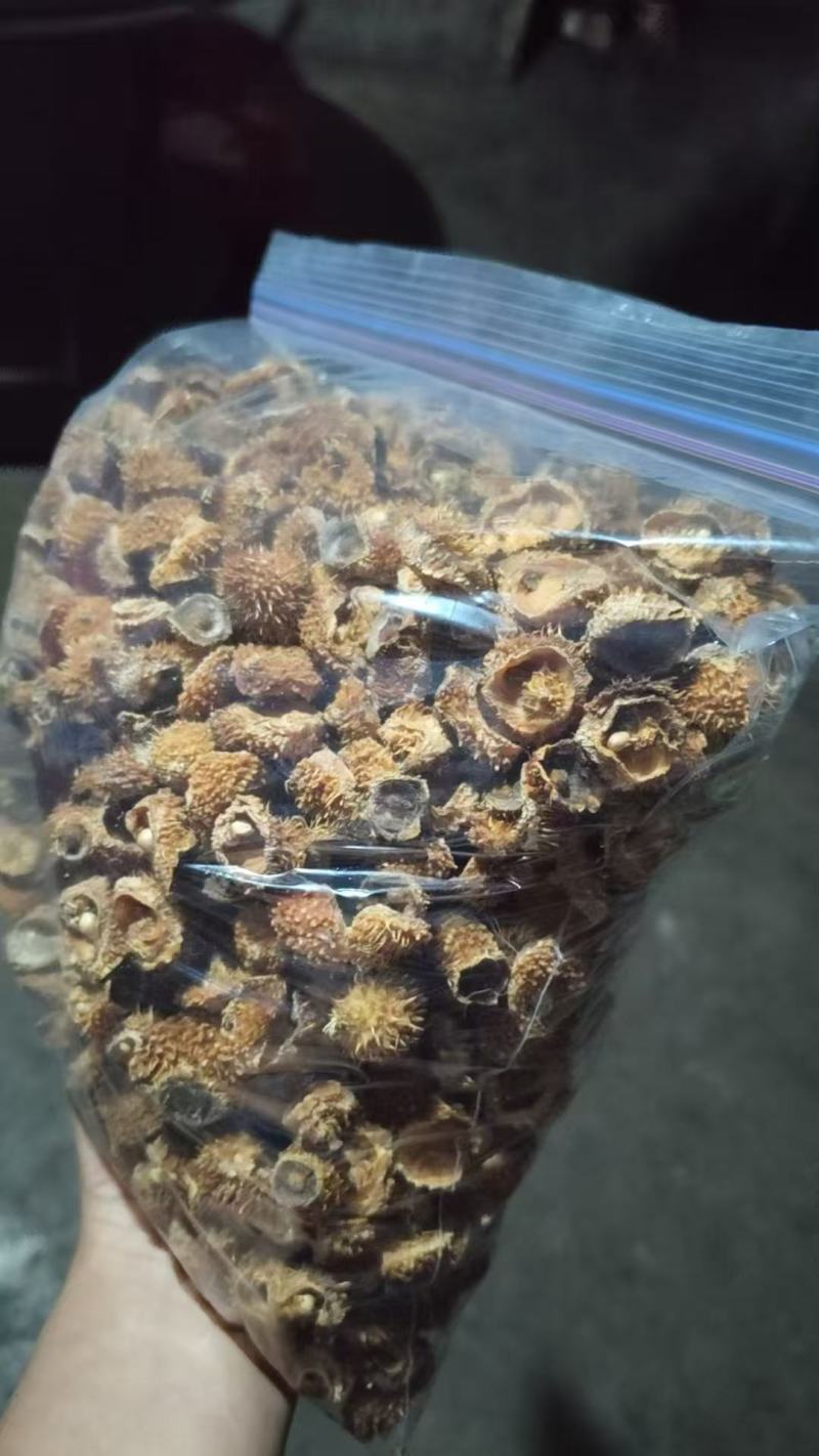 贵州刺激干