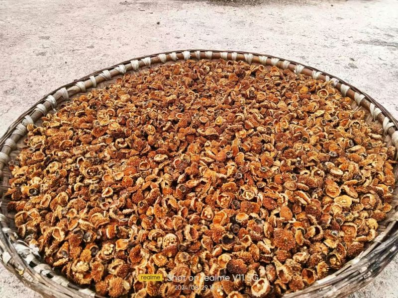 贵州刺激干