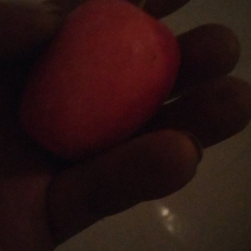开鲁鸡心果