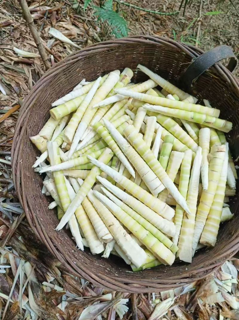 新鲜