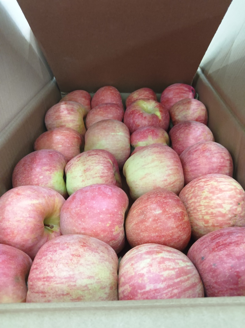昭通苹果🍎