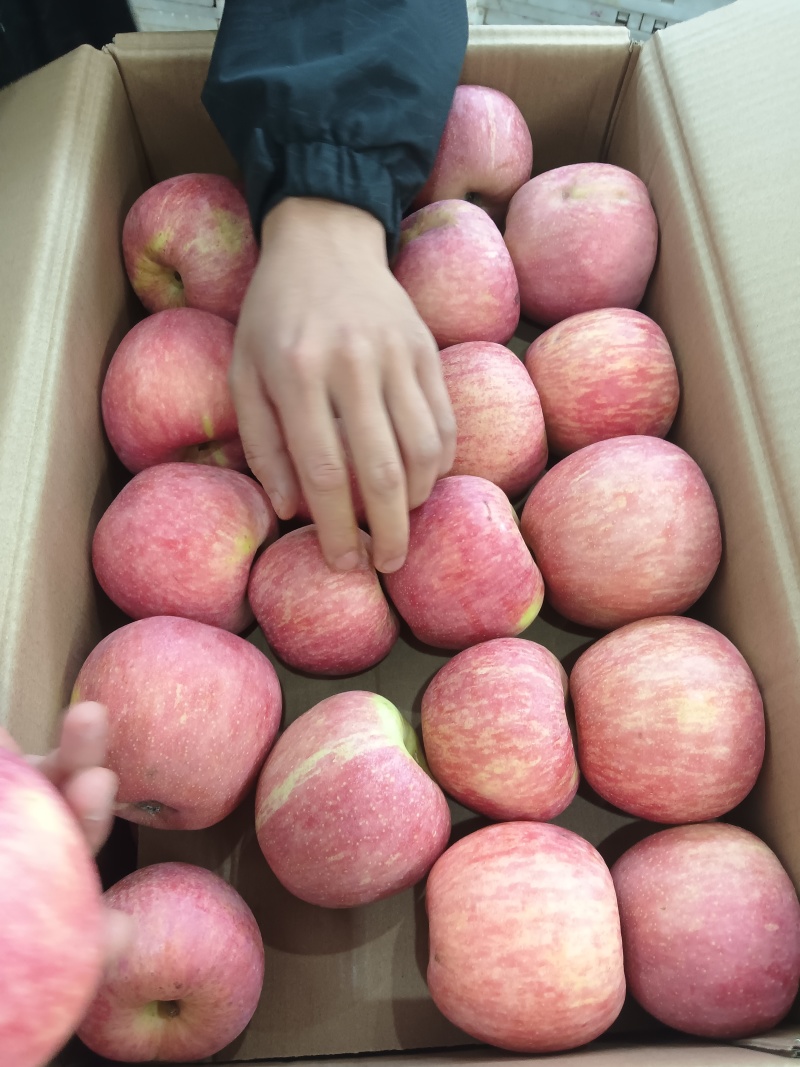昭通苹果🍎