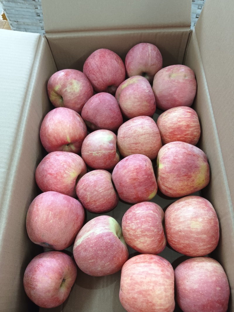 昭通苹果🍎