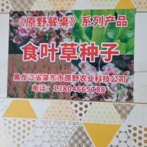 食叶草种子销售量大优惠