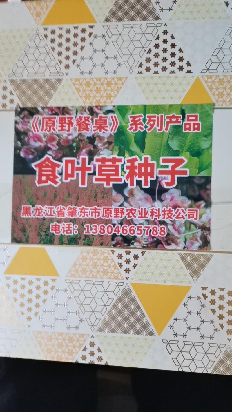 食叶草种子销售量大优惠