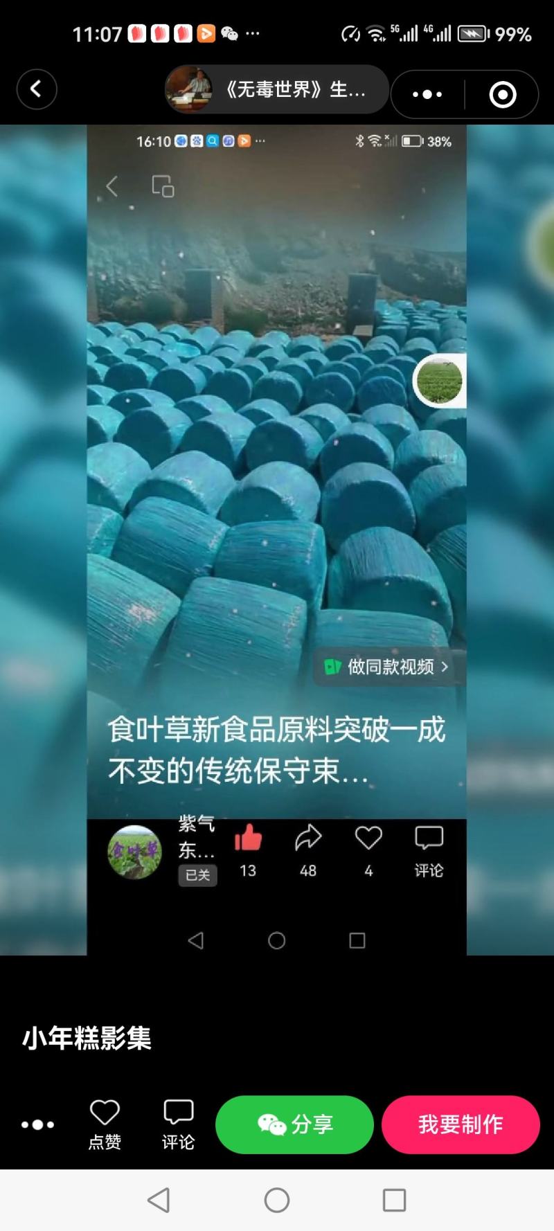 食叶草种子销售量大优惠