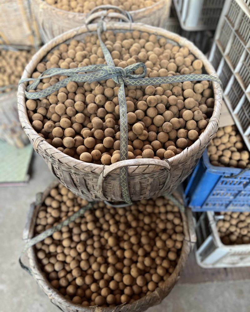 桂圆干