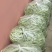 豆角豆王，自己大棚里种植的绿色蔬菜，筛选出的精品