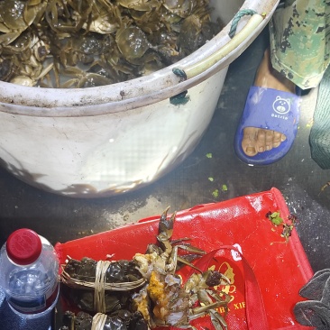 来聆听鲜活和增氧挑蟹的江苏好声音