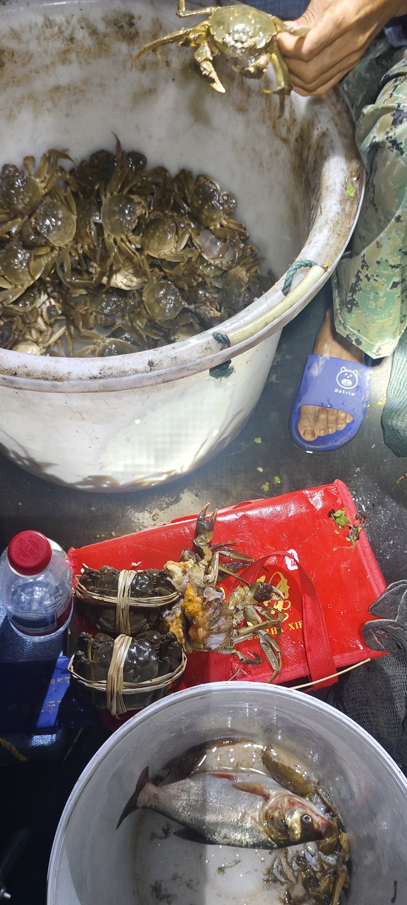 来聆听鲜活和增氧挑蟹的江苏好声音