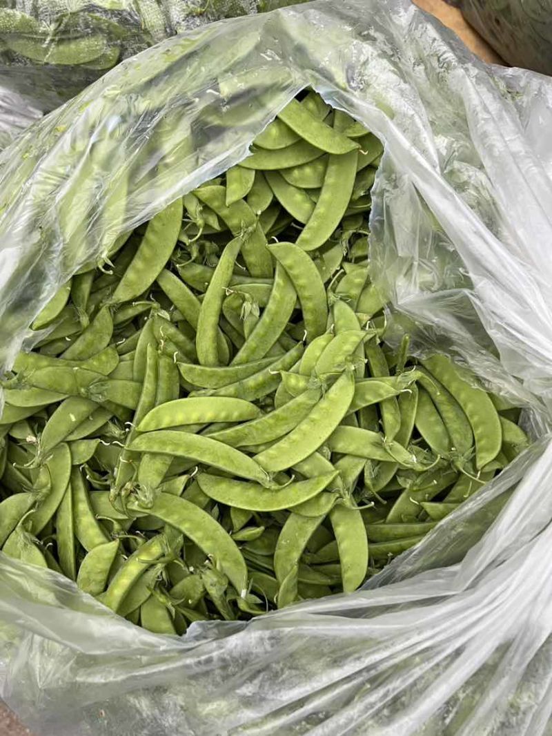 全年供货源头产地各种等级一应俱全货源稳定价格美丽
