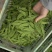 全年供货源头产地各种等级一应俱全货源稳定价格美丽