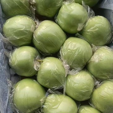 王林，北海道，中秋王