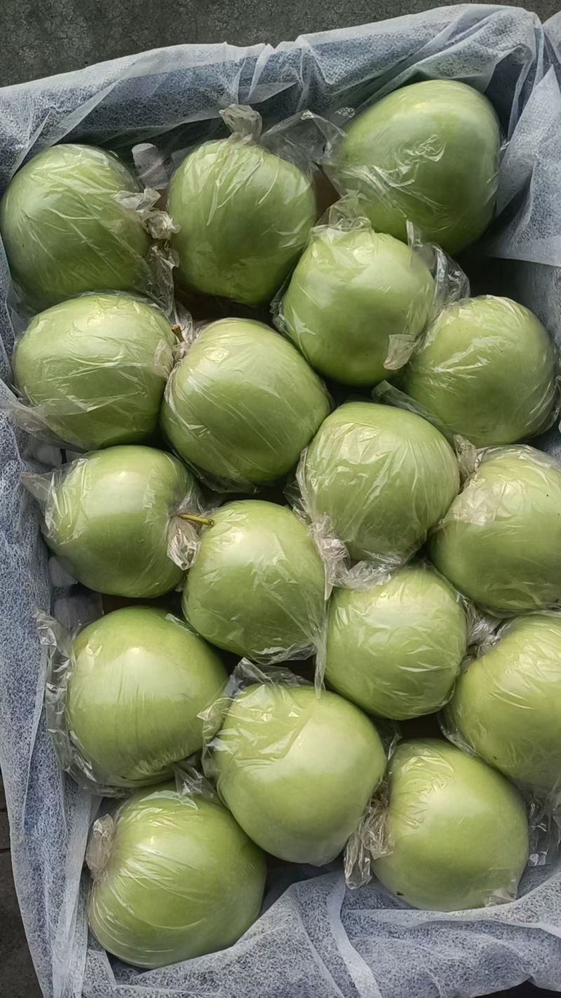 王林，北海道，中秋王