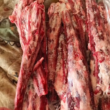 现货去皮牛尾
