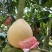 梅州金柚