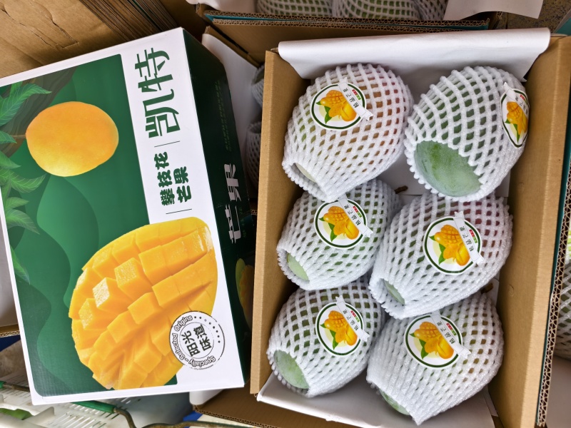 凯特芒果连箱十斤包邮