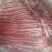 精品马肉