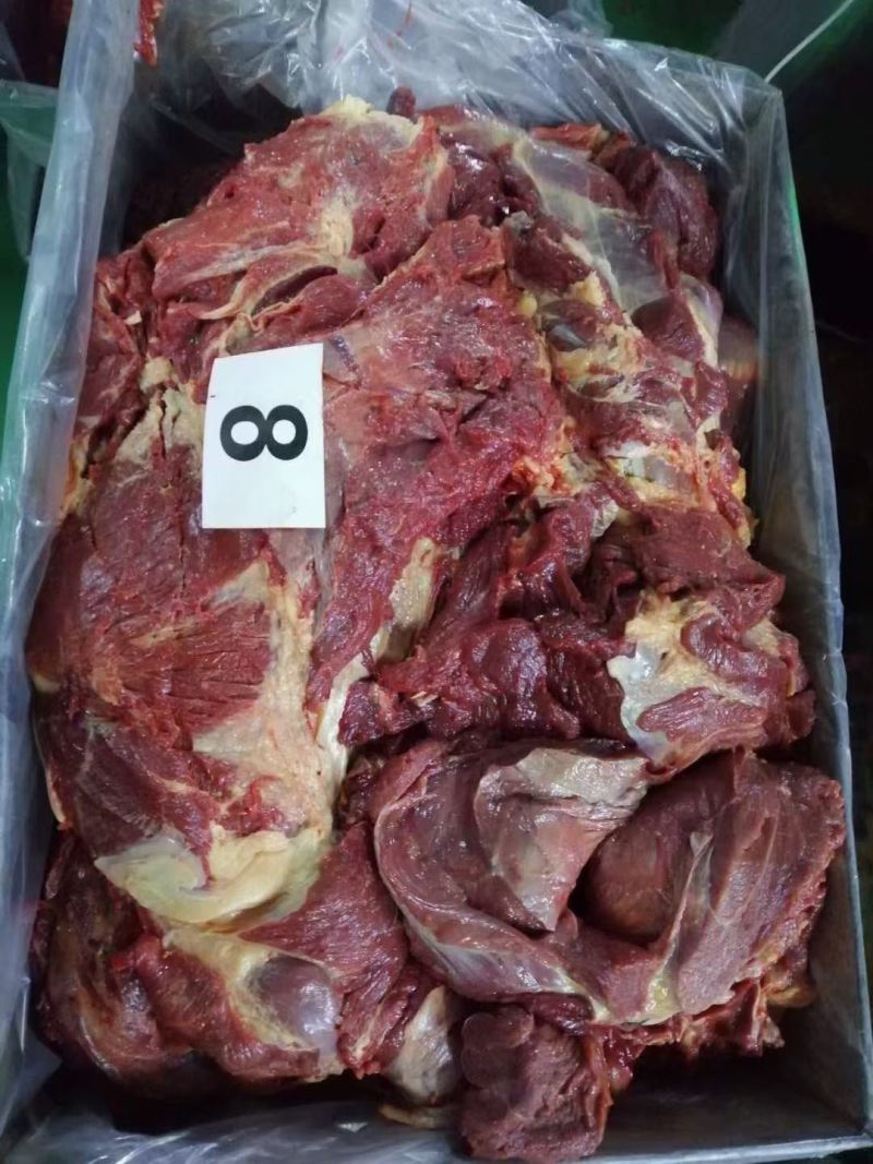 精品马肉