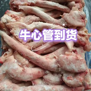 现货牛心管