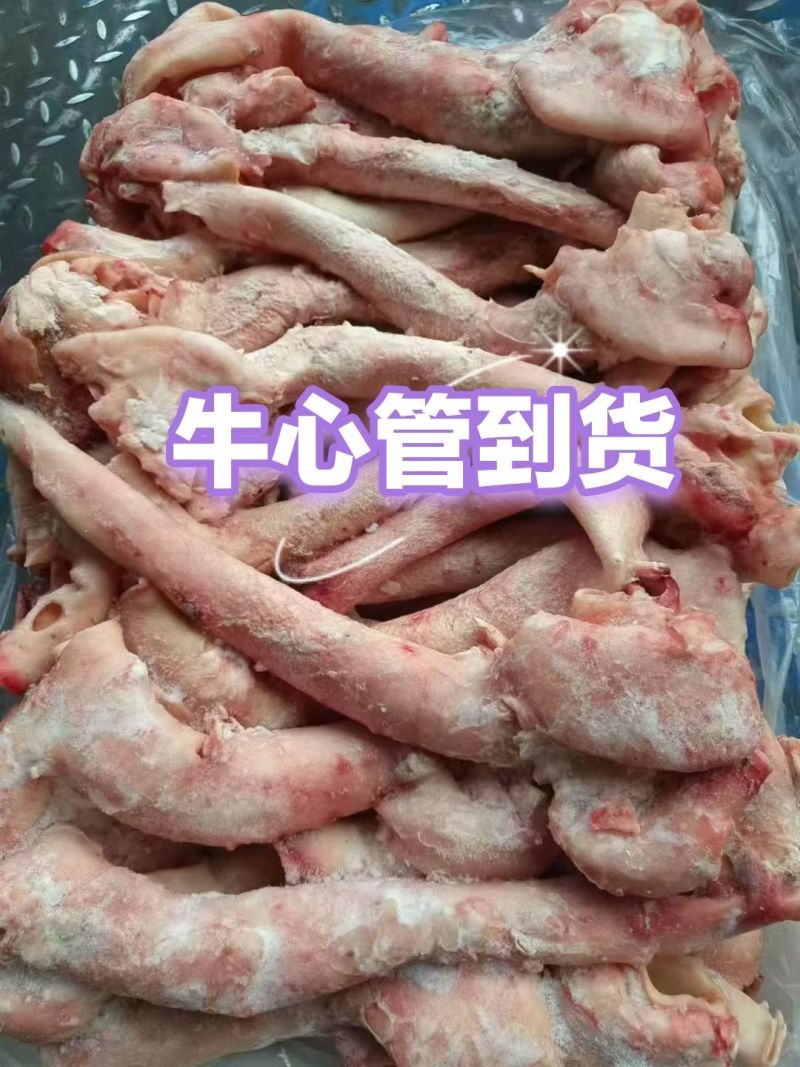 现货牛心管