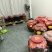 精品米酒，纯粮酿造，品质保证口感醇厚，还有各种泡酒，养生酒，