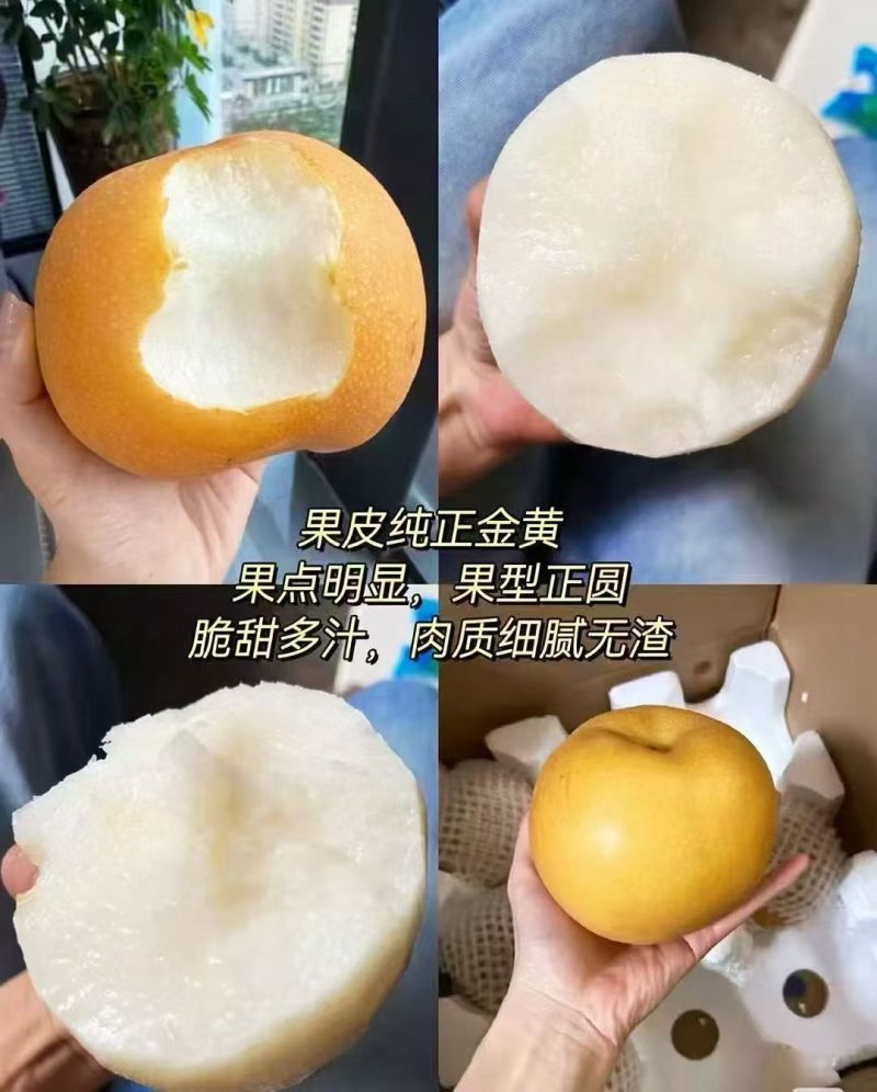 网信鸭梨，秋月梨，丰水梨，7号梨