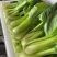 小油菜电商货