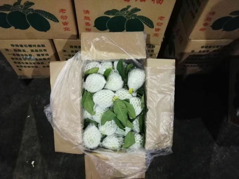 代收工厂果四季果电商果