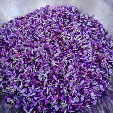 衢州野生葛根花