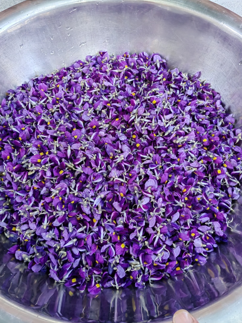 衢州野生葛根花