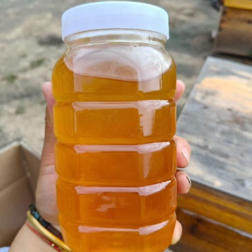 土蜂蜜