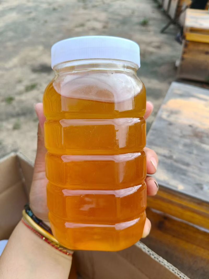 土蜂蜜