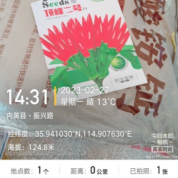 尖椒