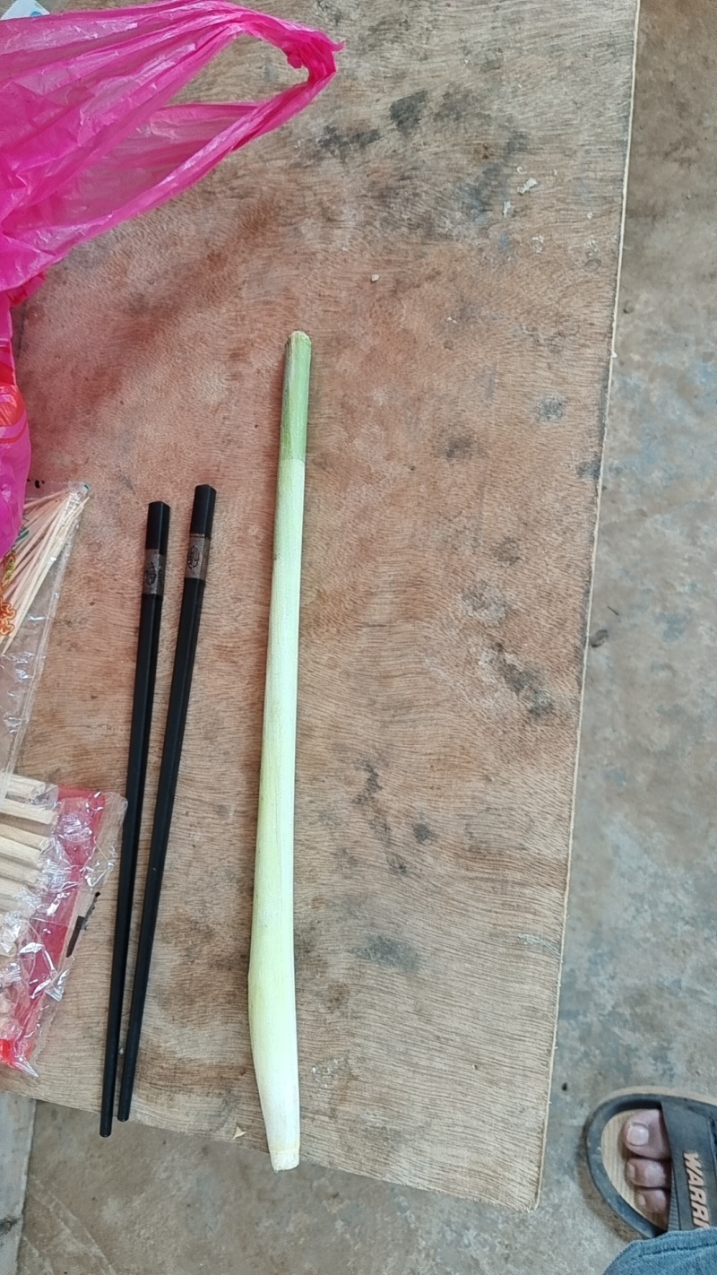 香茅草