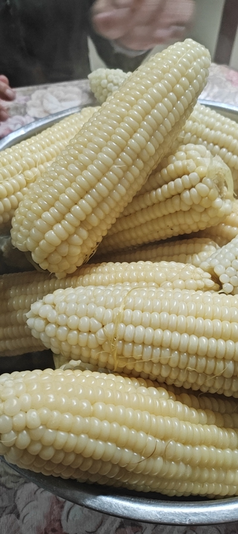 高原鲜食甜糯玉米