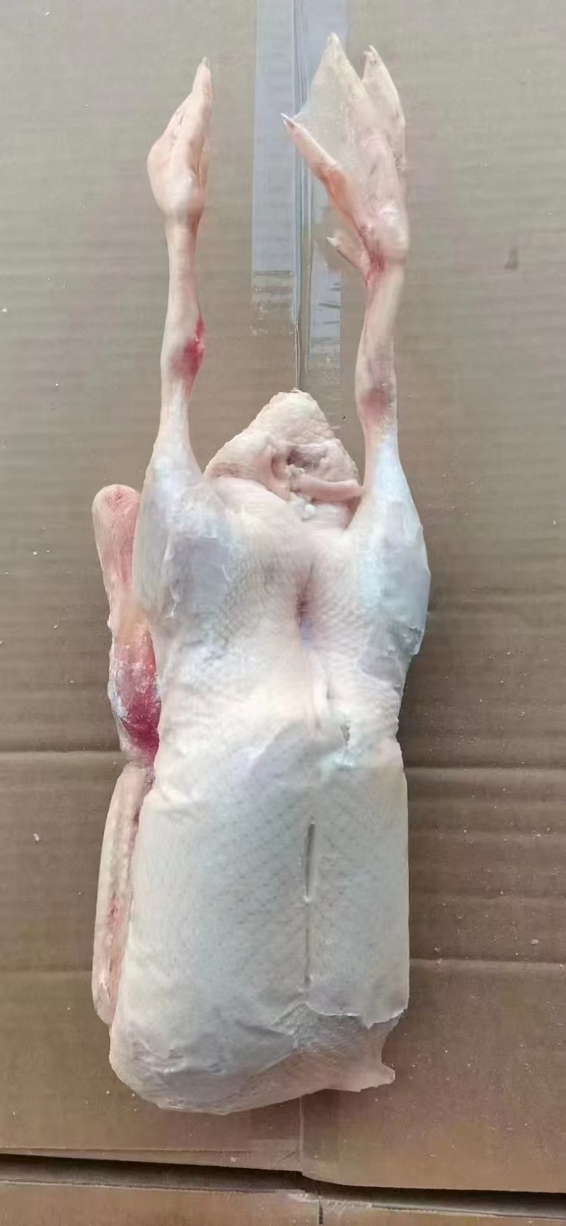 二级全鸭