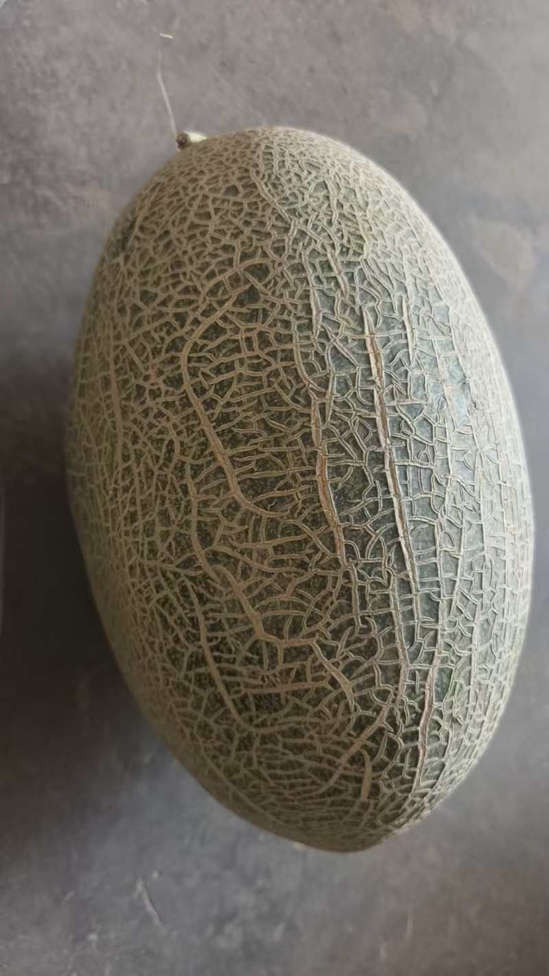 新疆安地尔蜜瓜哈密瓜