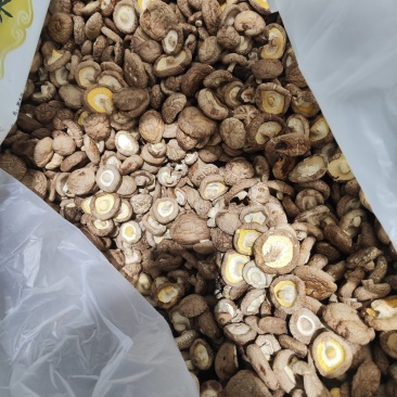 香菇