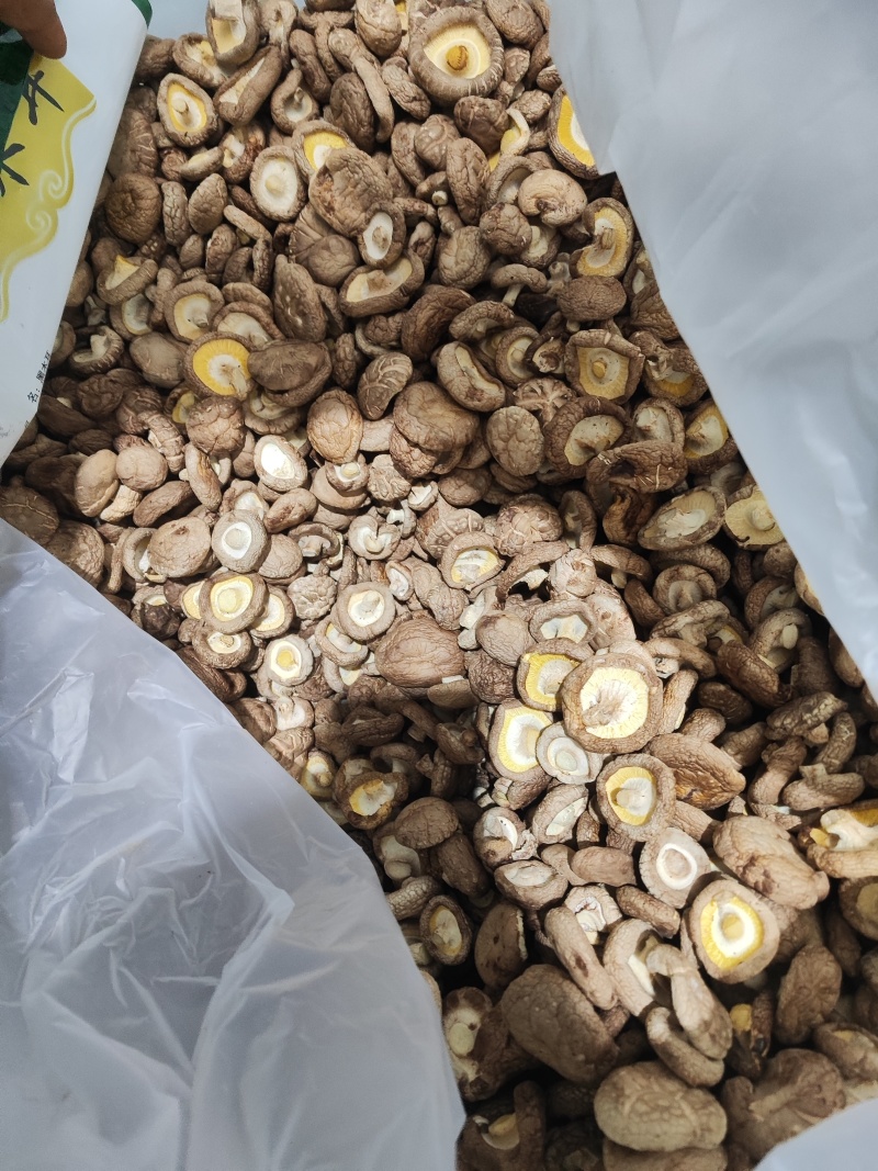 香菇