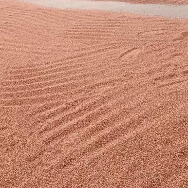 红高粱