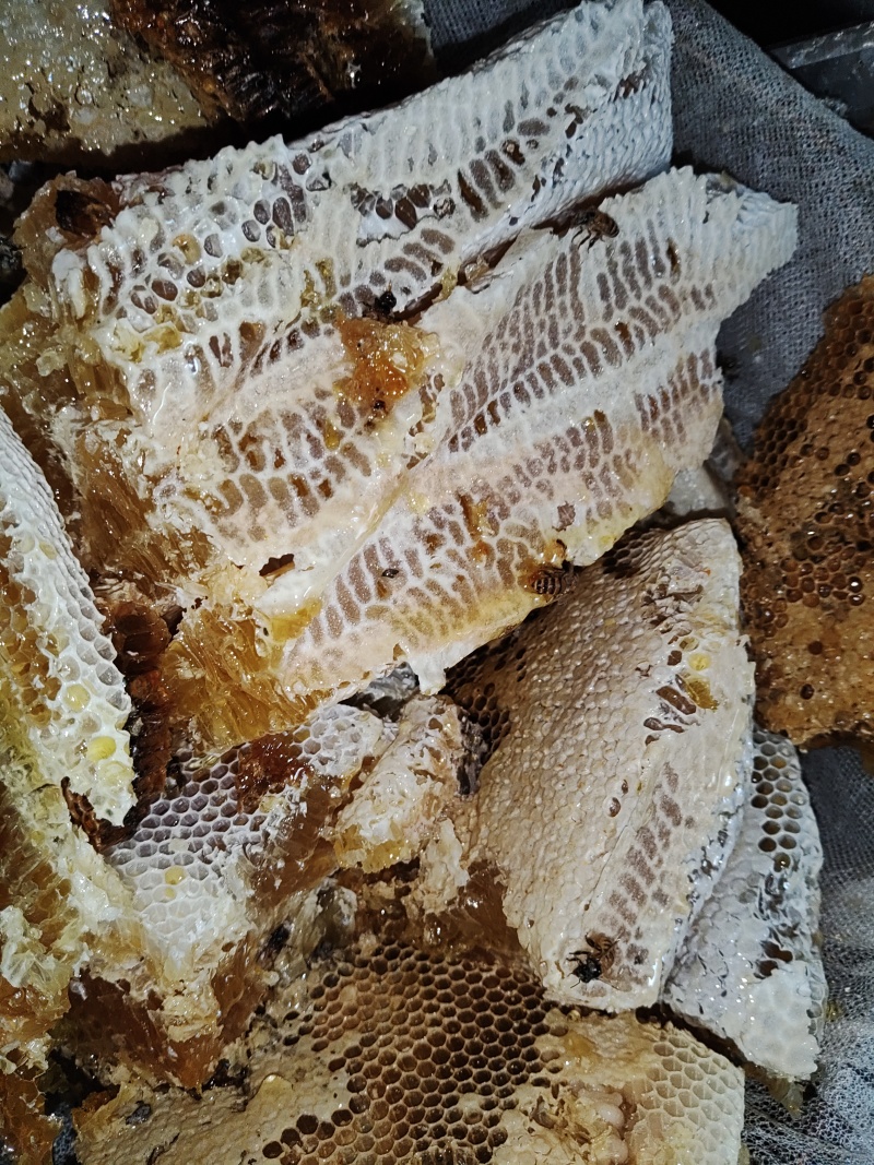 土蜂蜜