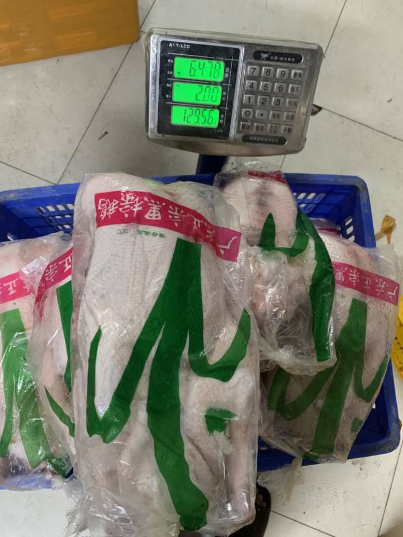 黑棕鹅光鹅